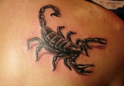 skorpion