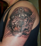 tigr