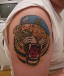 tigr_0