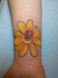 b79df_ladybug_tattoos_4448700896_08bd52abd7