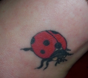 best-ladybug-tattoo-design