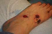ladybug-tattoo-design