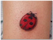 ladybug-tattoo-designs-11