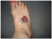 ladybug-tattoo-designs-28
