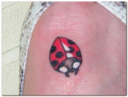 ladybug-tattoo-designs-pictures-1