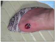 ladybug-tattoo-designs-pictures-2