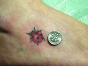 ladybug_tattoo_34