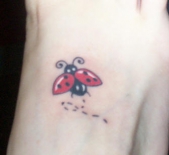 ladybugtattoo00010