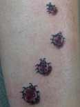 ladybugtattoo00027