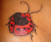 ladybugtattoo00028