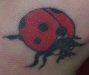 ladybugtattoo0004