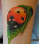 moi_raboty_ja_tatu_master_g_novosibirsk_tatu_centr_piersib_ja_tigra