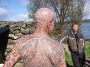 leopard