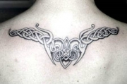 na-spine