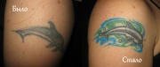 delfin