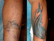 tatu-na-predpleche