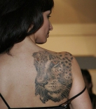 leopard