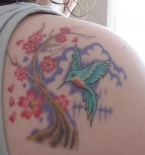 sakura-i-kolibri