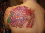 tatu-drakon