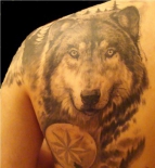volk
