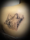 volk_0