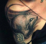 tatu-myish-na-pleche