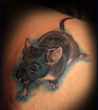 tatu-myish