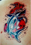 delfin-tatu