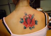 tatu-roza