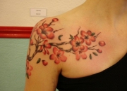 sakura