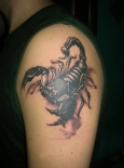 skorpion