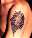 volk