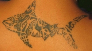 hawaiian-tattoo-117020909810718