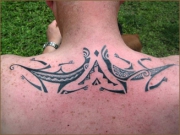 machine-back