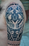 med_gallery_295_22_127821