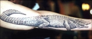 krokodil