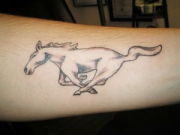 mustang
