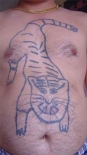 tigr
