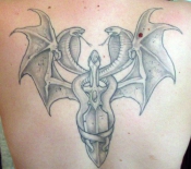 na-spine