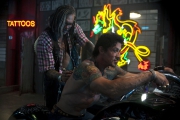 tatu-stallone