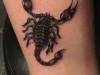 1243258878_tattoo-007