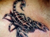 1273510214_scorpion36