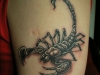 1305523095_skorpion-tatu-u-devushek