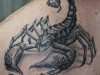 1306440194_tatuirovki-scorpion