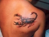 3d-scorpion-tattoo-200x200