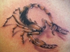 angel-tattoo-piercing-d-vme-katalo-u-akrep-d-vmeleri-14