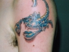 reptiles11
