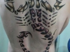 scorpion-god-tattoo