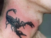 scorpion-tattoo-3