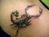 scorpion-tattoo-4f9ac75ea47d8